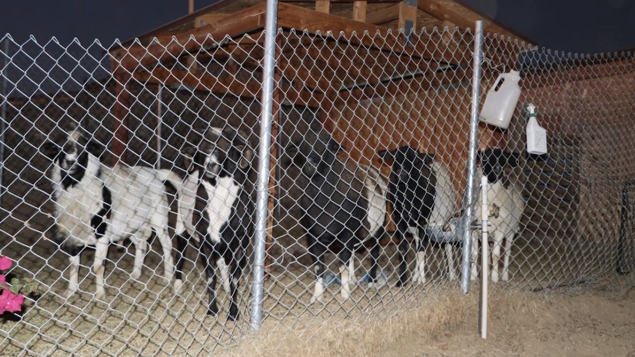 Photo of Others in Hemet