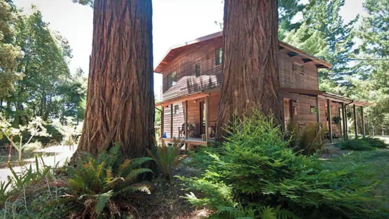 Photo of Outdoor in Myers Flat