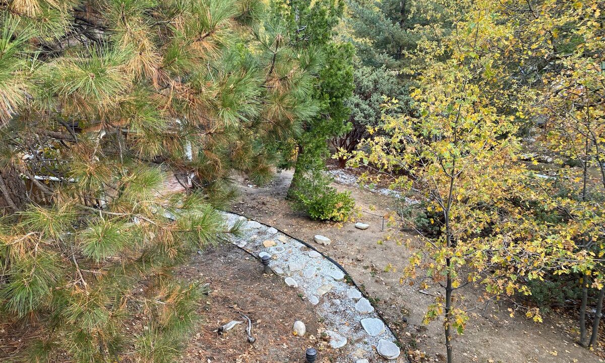 Photo of Outdoor in Twin Peaks