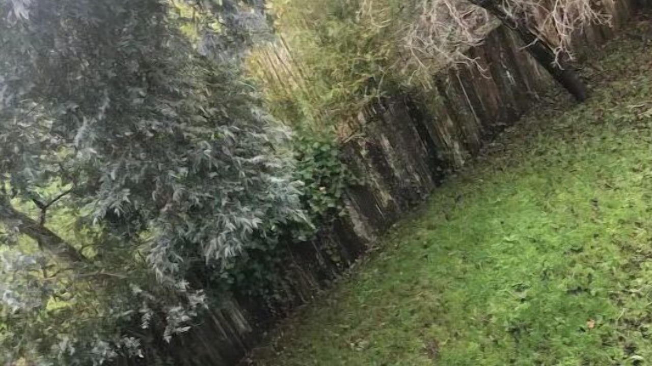 Photo of Outdoor in Rohnerville