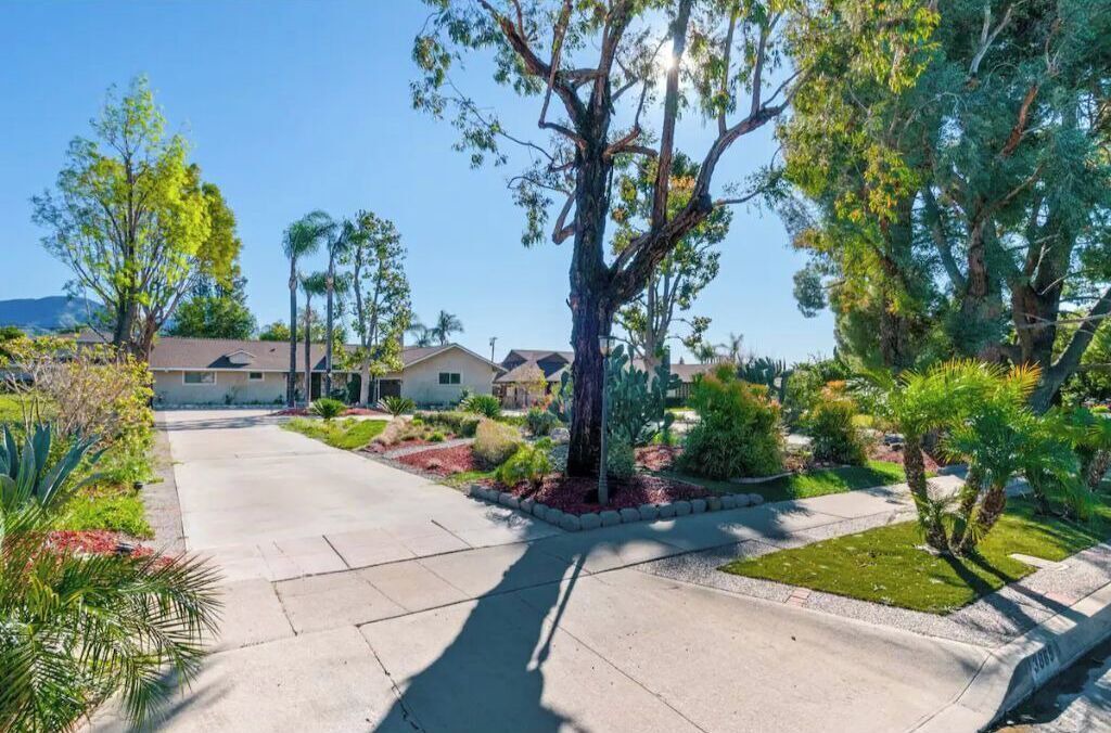 Photo of Outdoor in Patton
