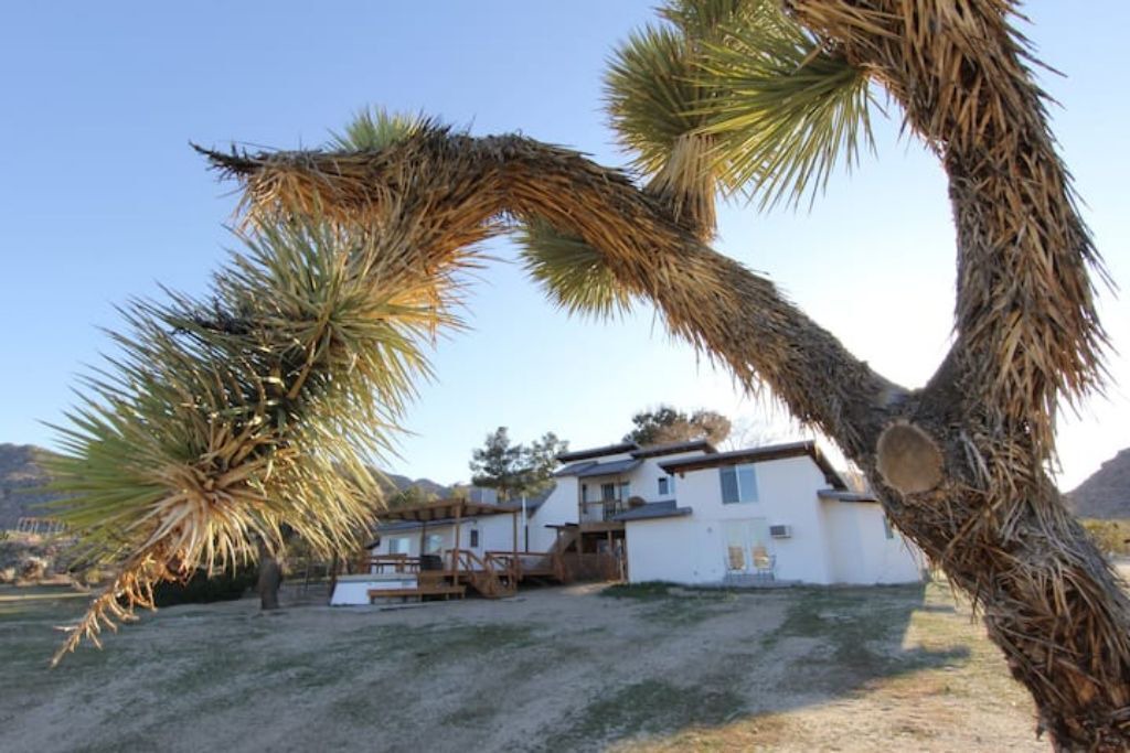 Photo of Outdoor in Joshua Tree Highlands