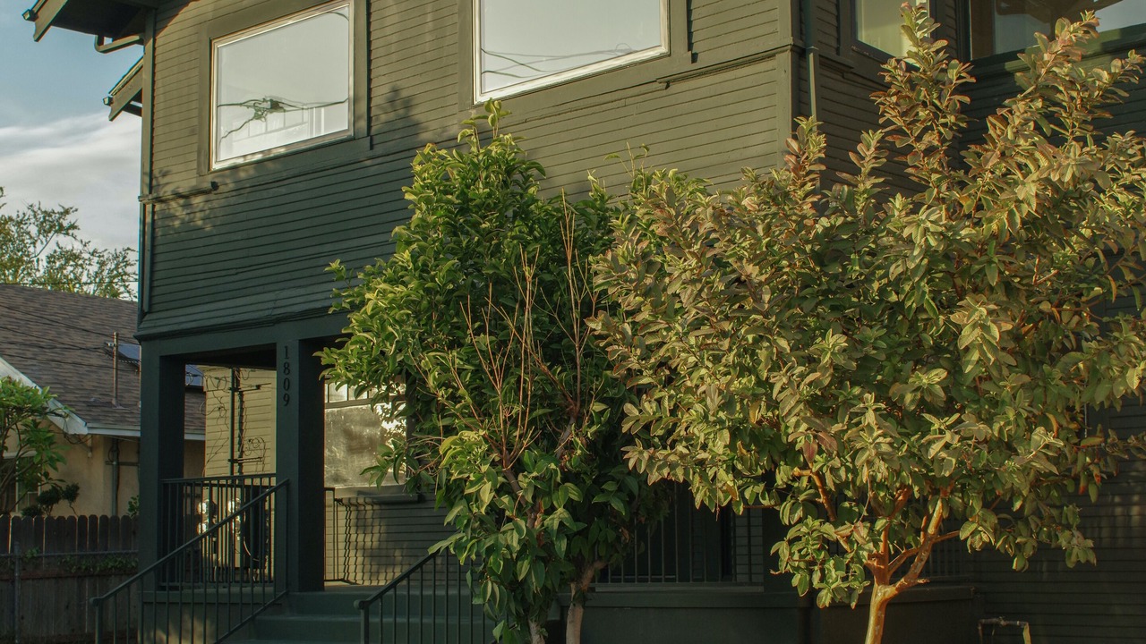 Photo of Outdoor in Elysian Heights