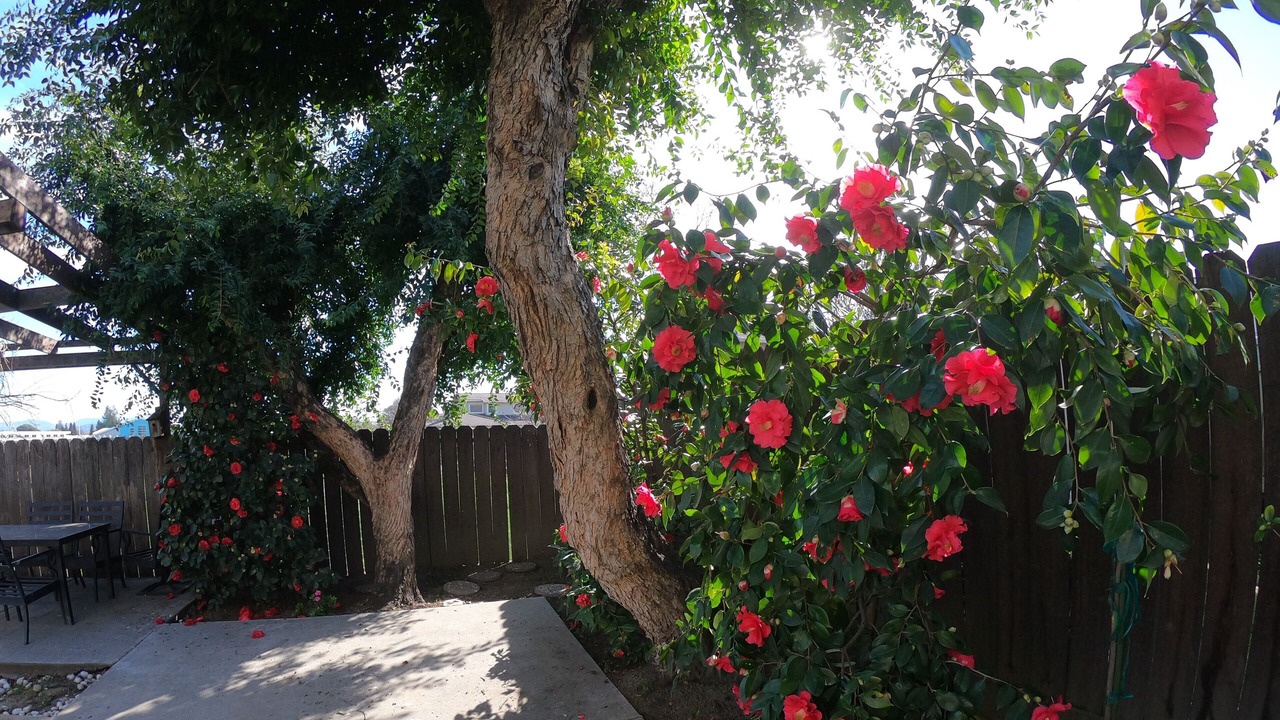 Photo of Outdoor in Napa