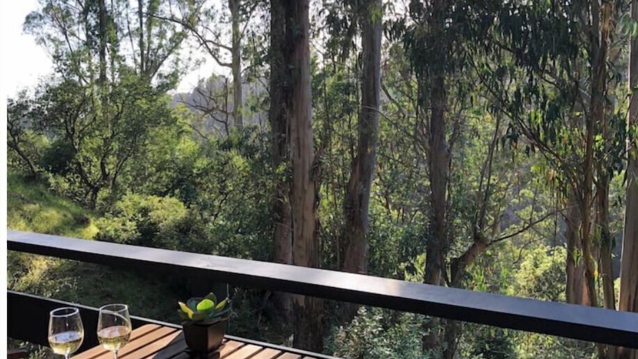 Photo of Outdoor in Piedmont Pines
