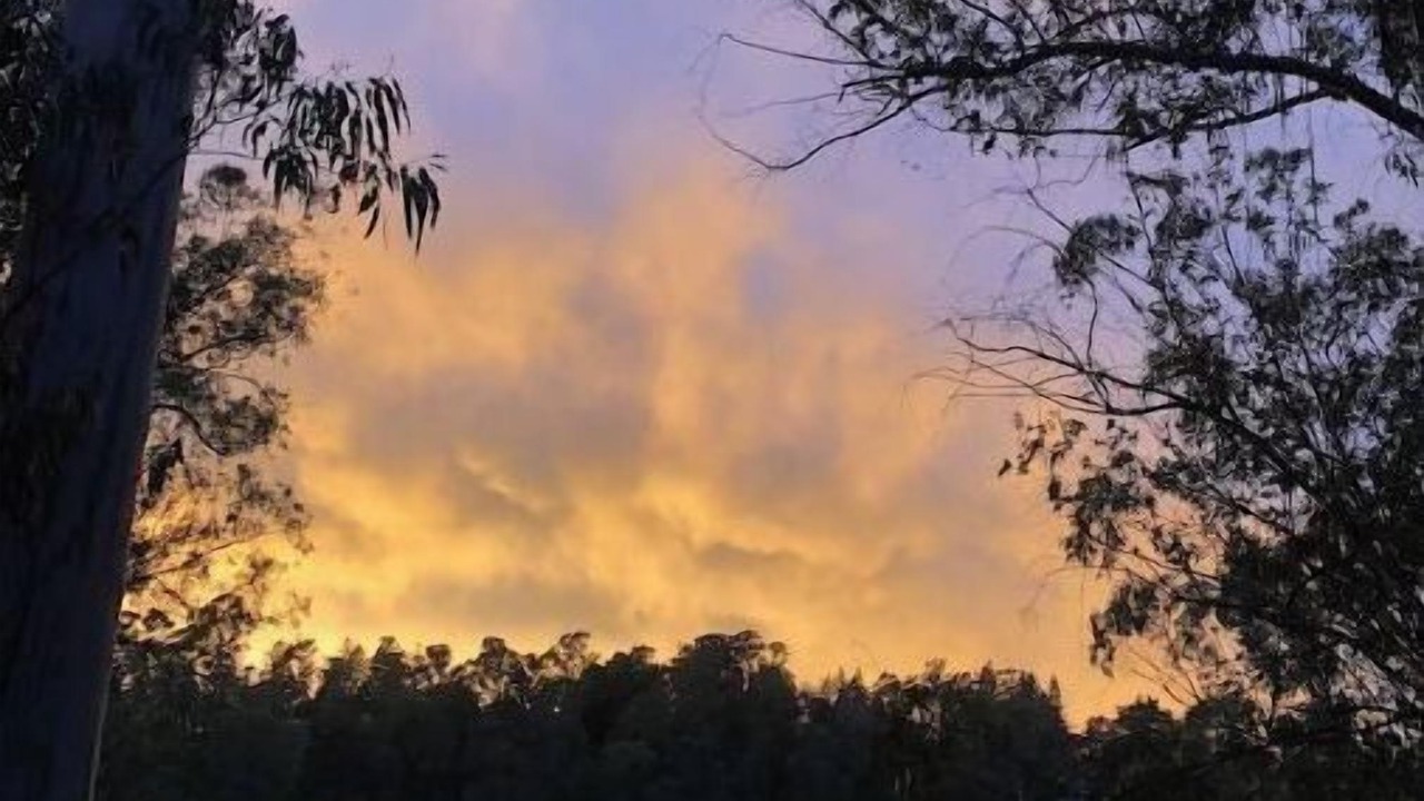 Photo of Outdoor in Piedmont Pines