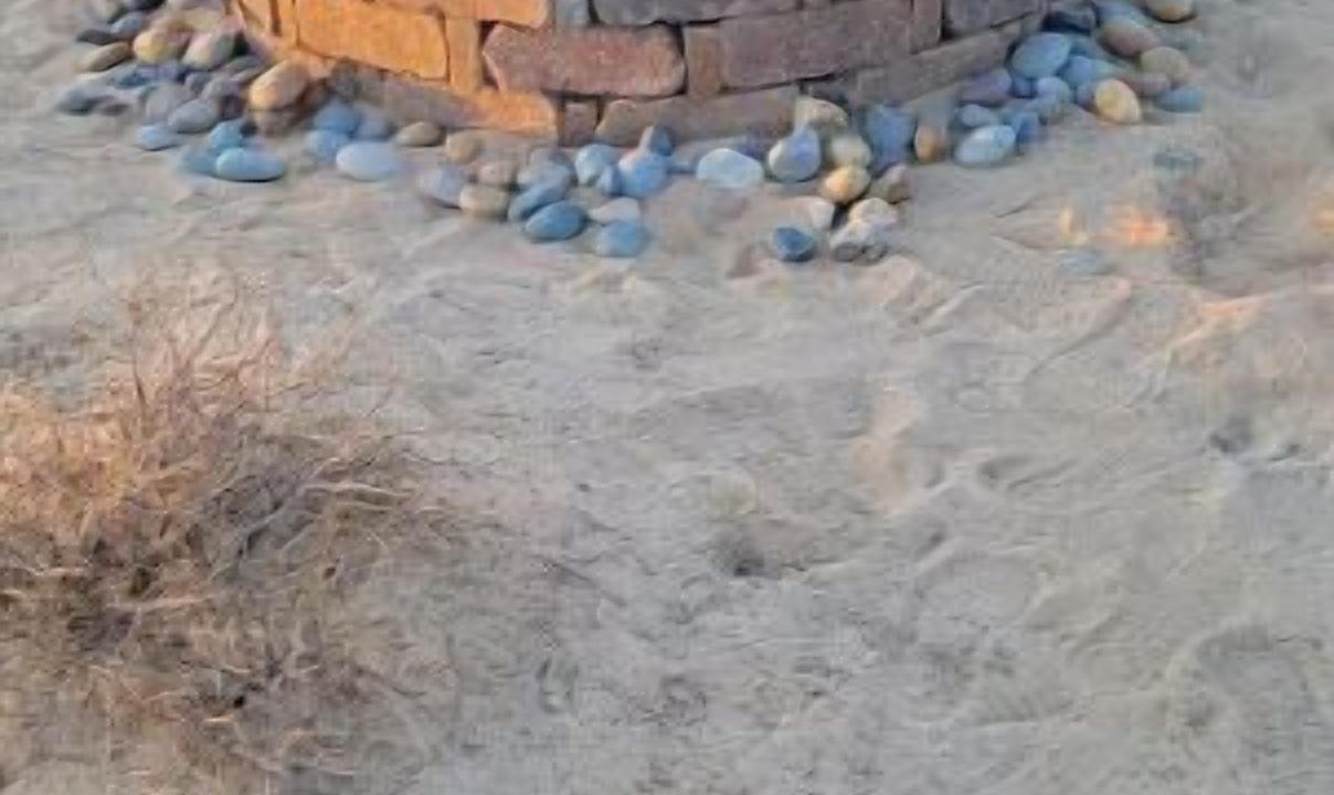Photo of Others in Twentynine Palms