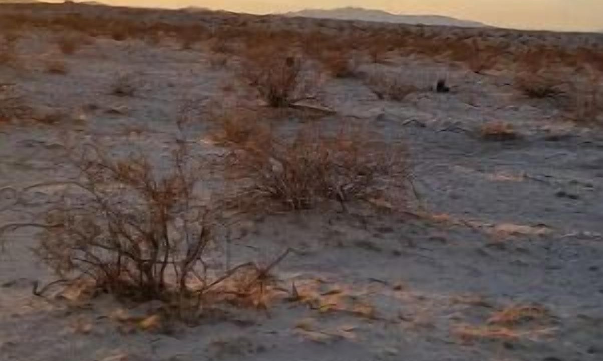 Photo of Others in Twentynine Palms