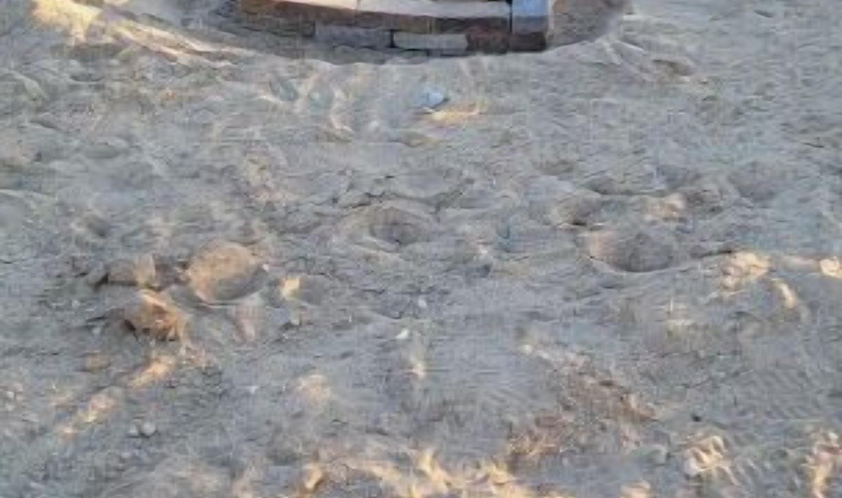 Photo of Outdoor in Twentynine Palms