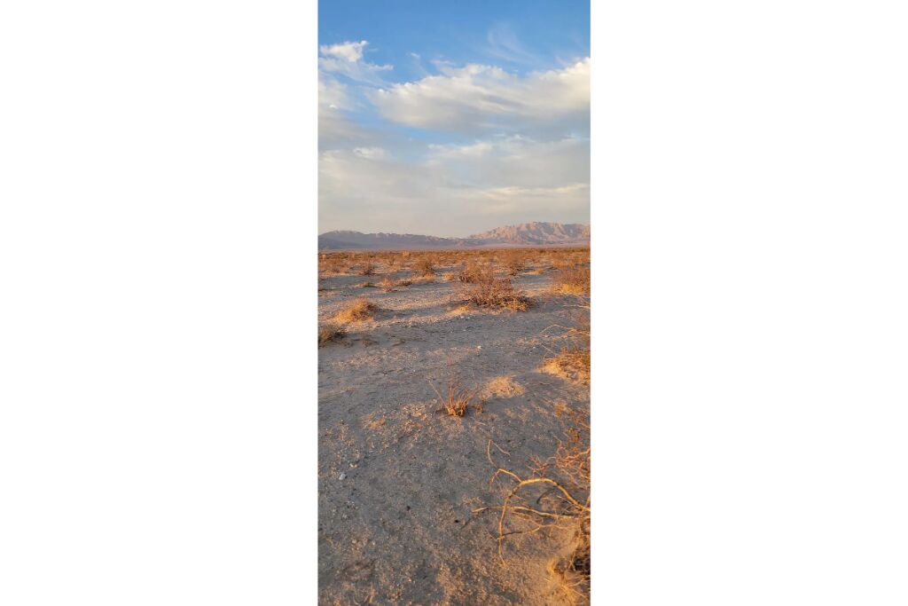 Photo of Outdoor in Twentynine Palms
