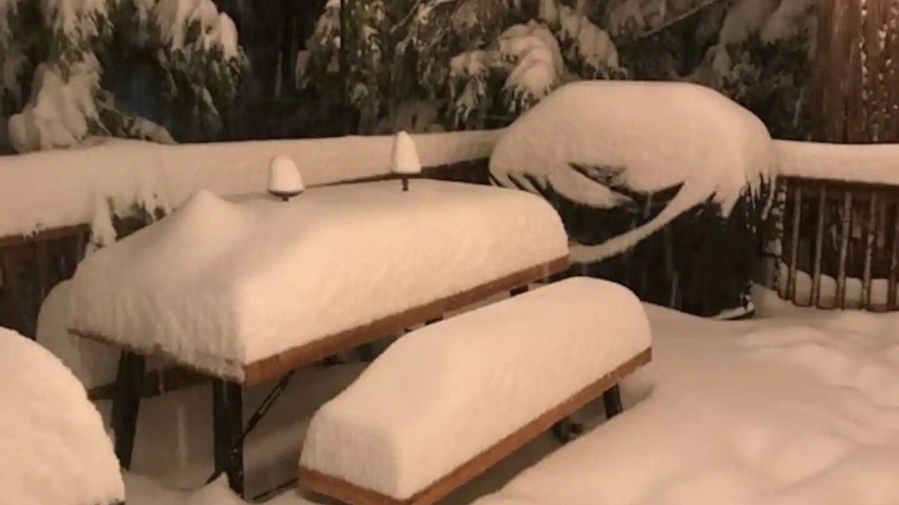Photo of Outdoor in Lake Arrowhead