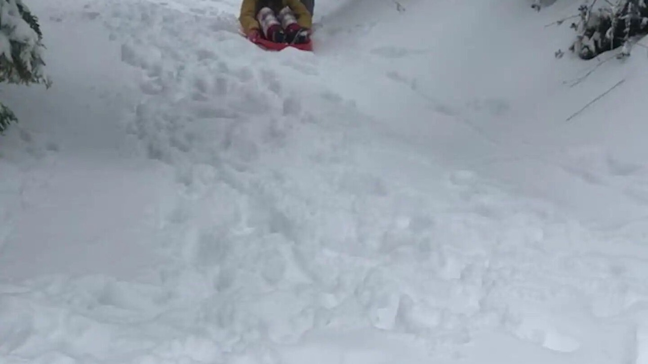 Photo of Others in Lake Arrowhead