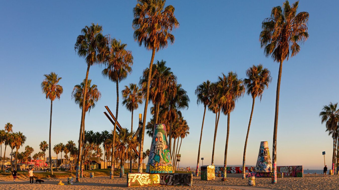 Photo of Others in Del Rey