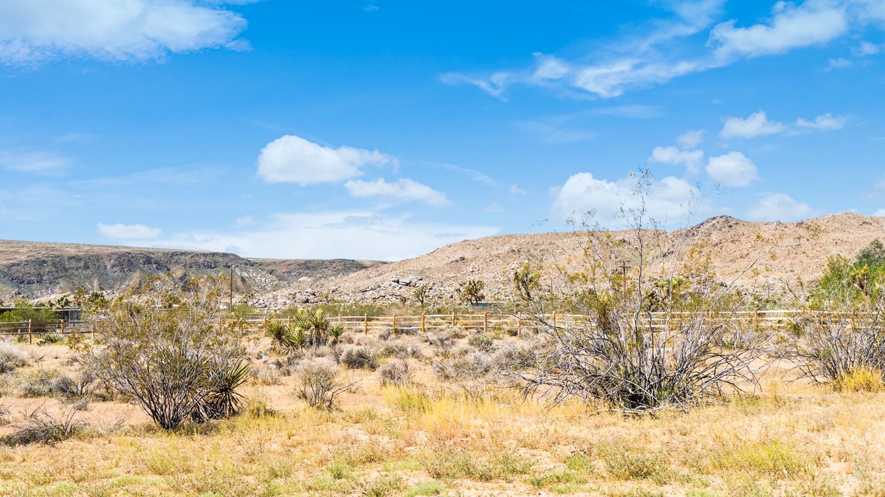 Photo of Others in Yucca Valley