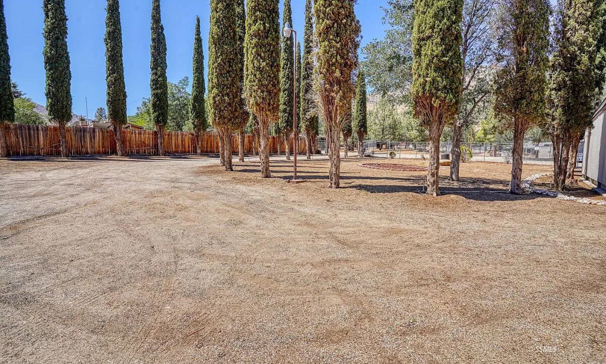 Photo of Outdoor in Lake Isabella