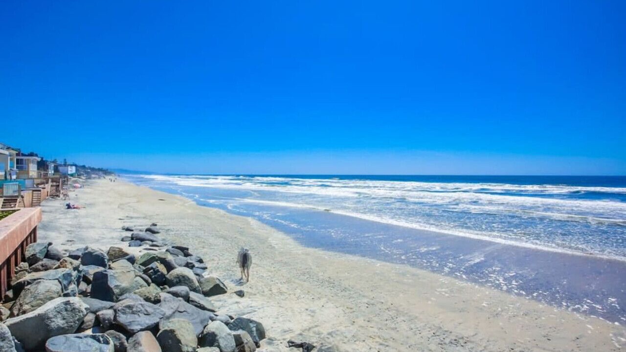 Photo of Others in Del Mar