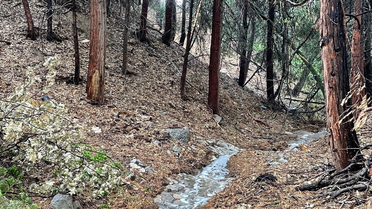 Photo of Outdoor in Running Springs