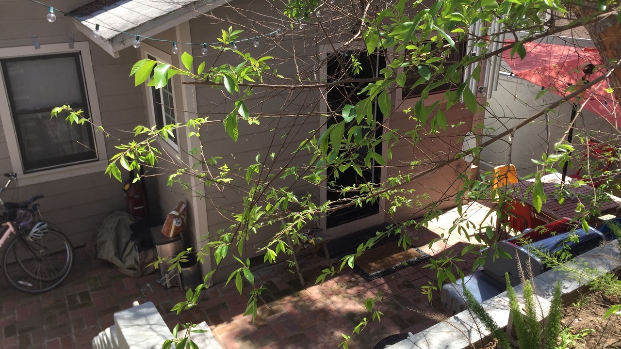 Photo of Outdoor in Elysian Heights