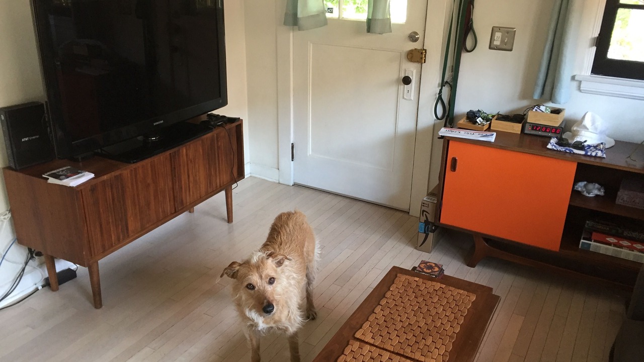 Photo of Livingroom in Elysian Heights