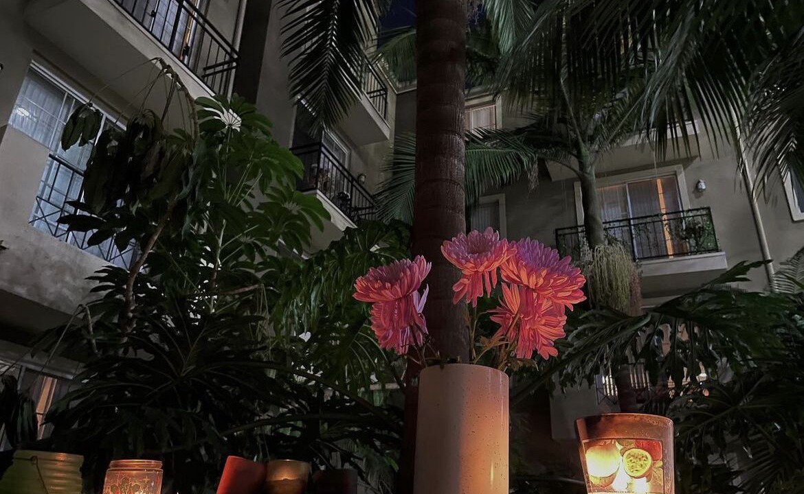 Photo of Outdoor in La Brea