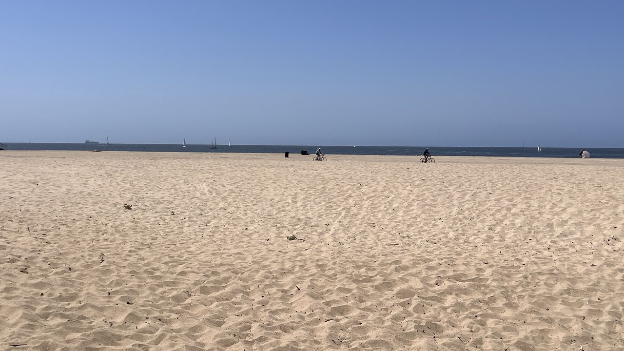 Photo of Others in Playa Del Rey