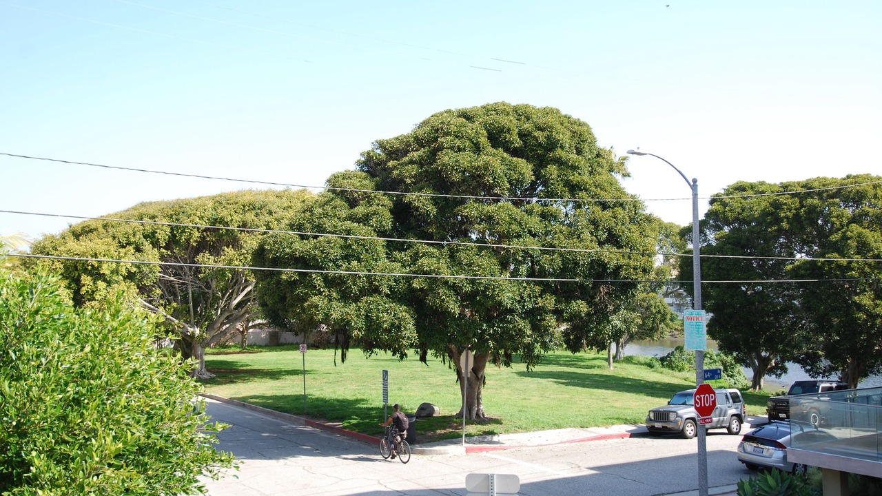 Photo of Others in Playa Del Rey