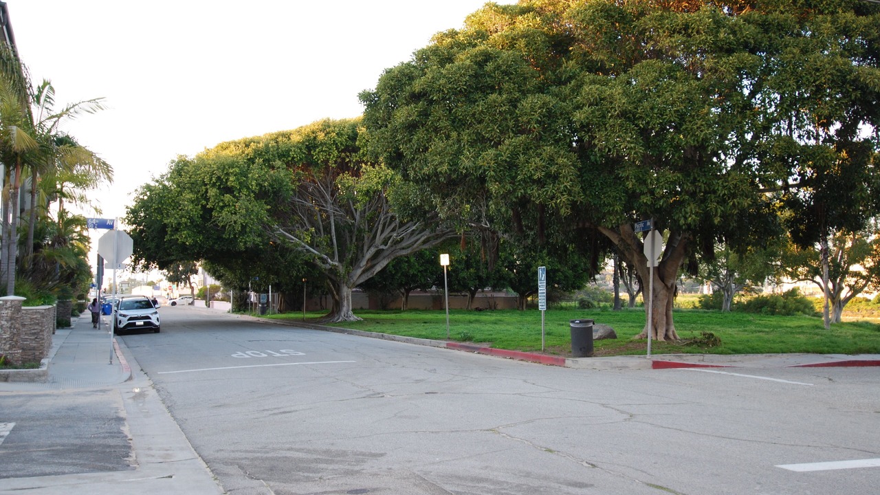 Photo of Others in Playa Del Rey