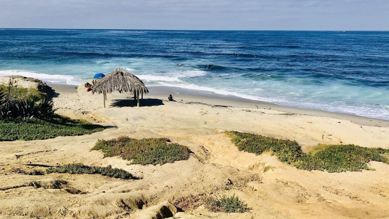 Photo of Others in Beach Barber Tract