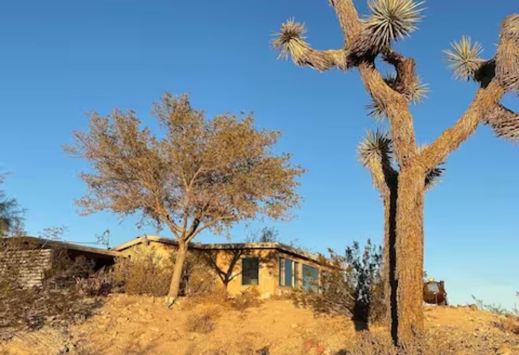 Photo of Outdoor in Joshua Tree