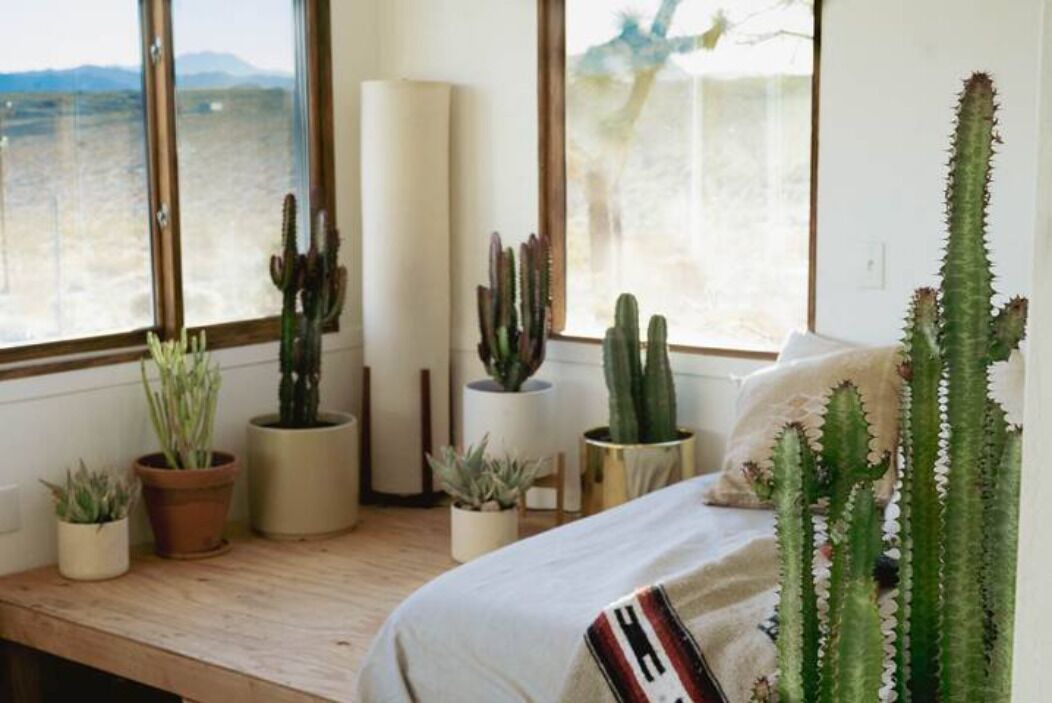 Photo of Bedroom in Joshua Tree