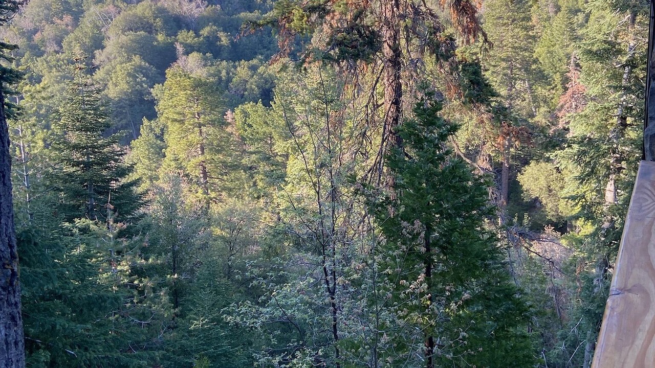 Photo of Outdoor in Twin Peaks
