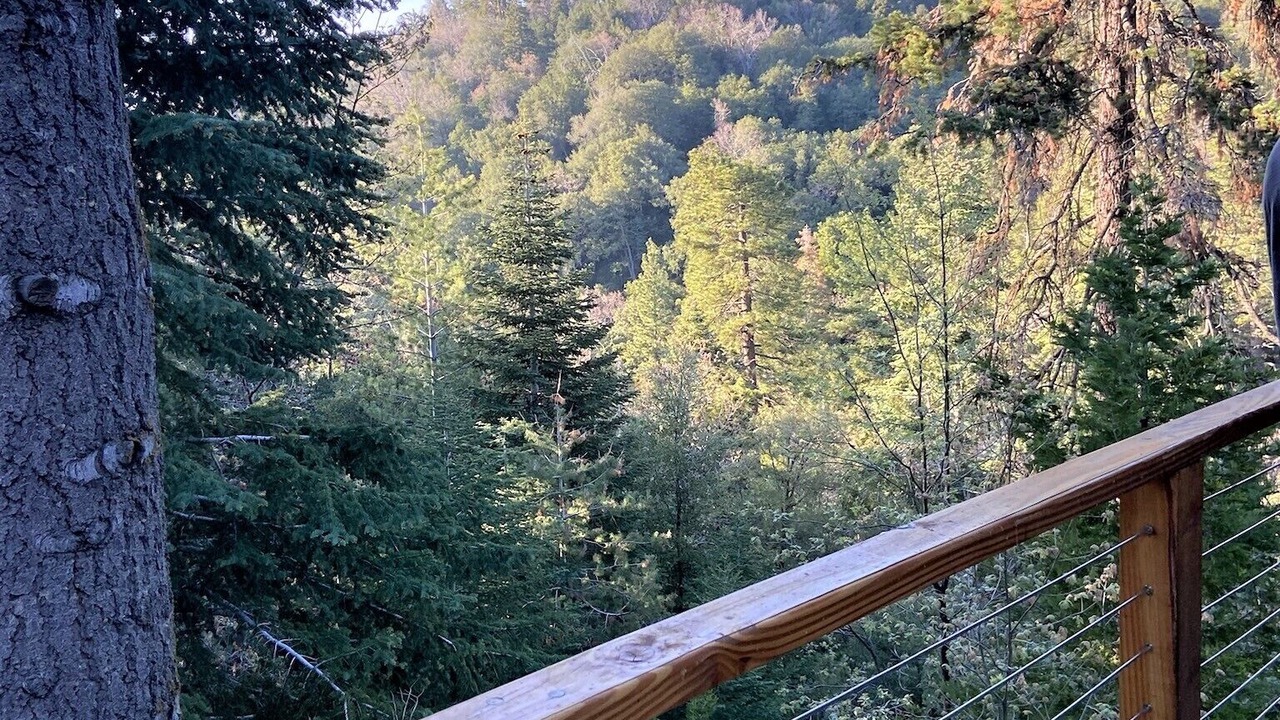 Photo of Outdoor in Twin Peaks