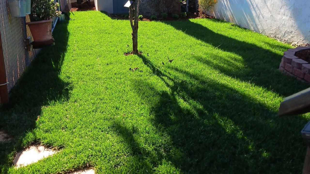 Photo of Outdoor in Northwest San Pedro