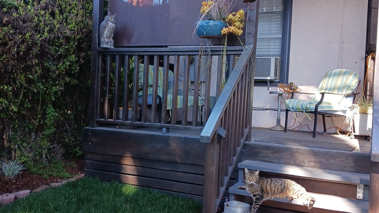 Photo of Patio Balcony in Northwest San Pedro