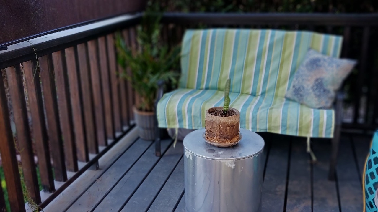 Photo of Outdoor in Northwest San Pedro