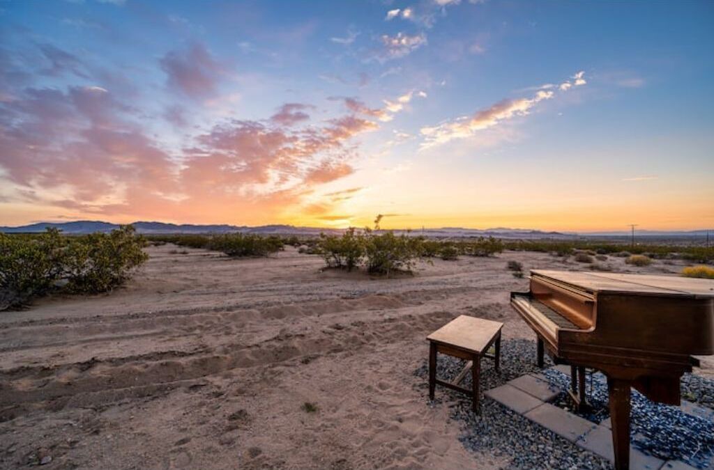 Photo of Outdoor in Twentynine Palms
