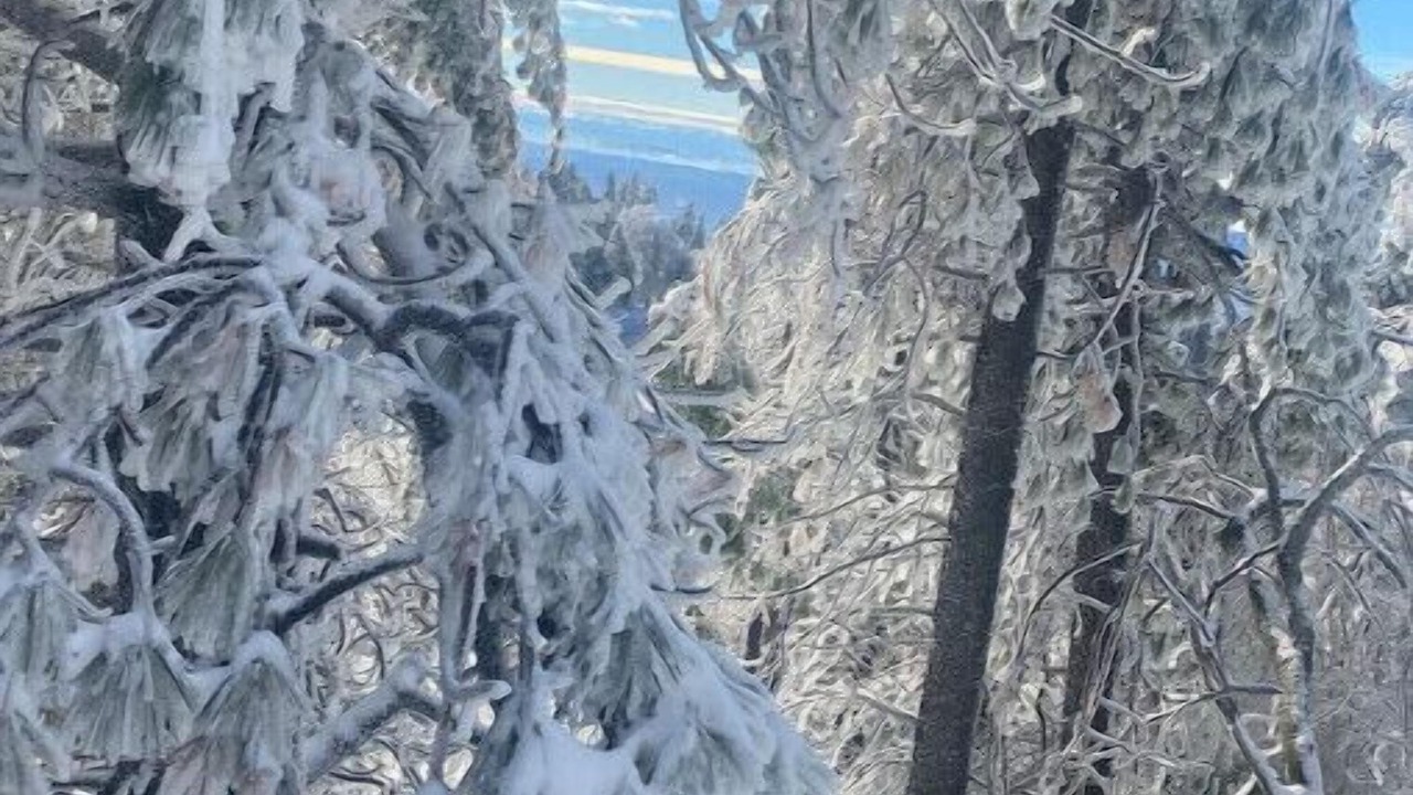 Photo of Outdoor in Twin Peaks