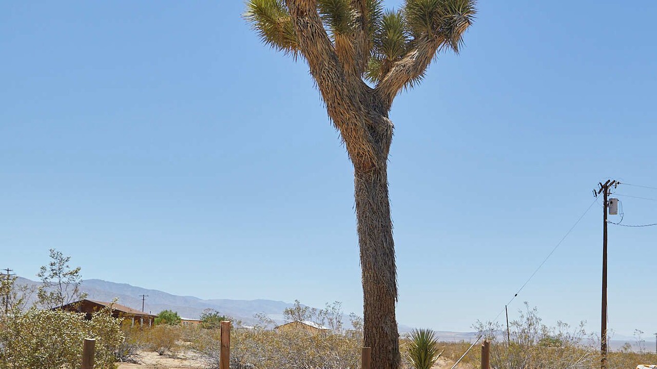 Photo of Outdoor in Landers