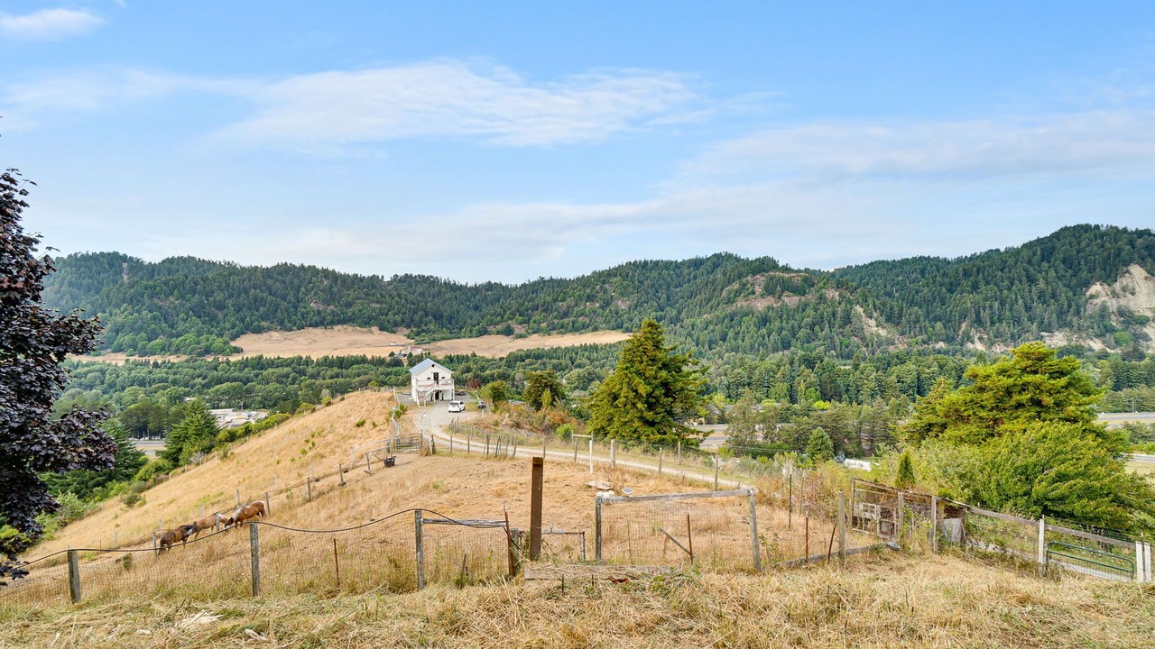 Photo of Outdoor in Rio Dell