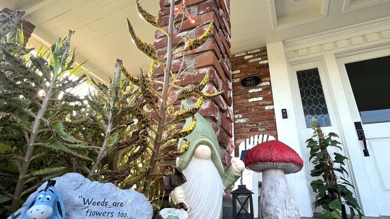 Photo of Outdoor in Anaheim Colony Historic District