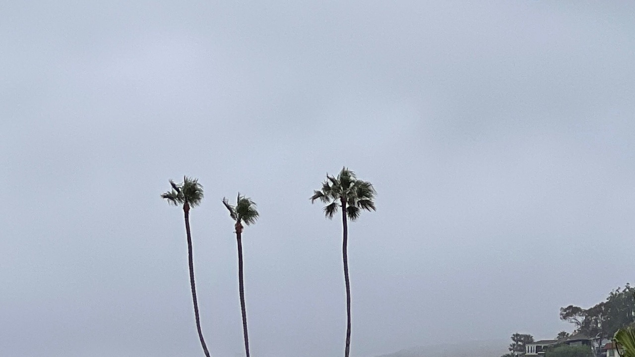 Photo of Others in Aliso Viejo