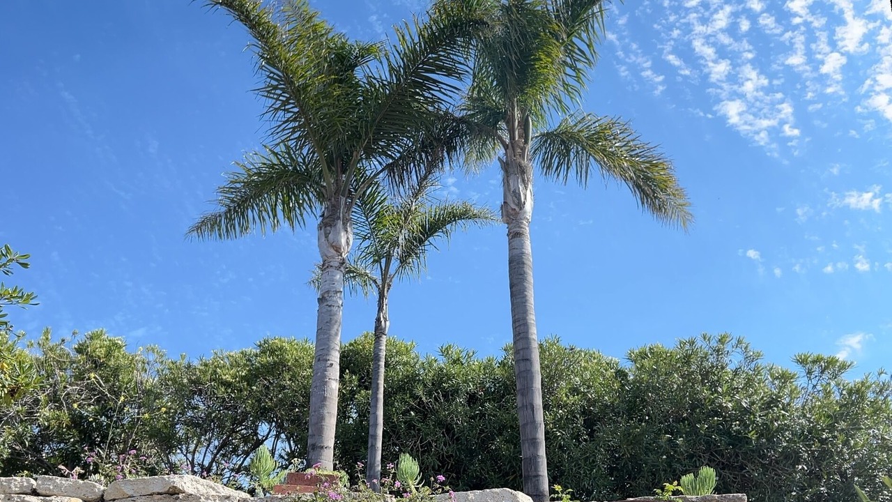 Photo of Others in Central Malibu
