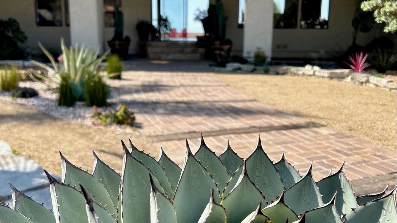 Photo of Others in Central Malibu