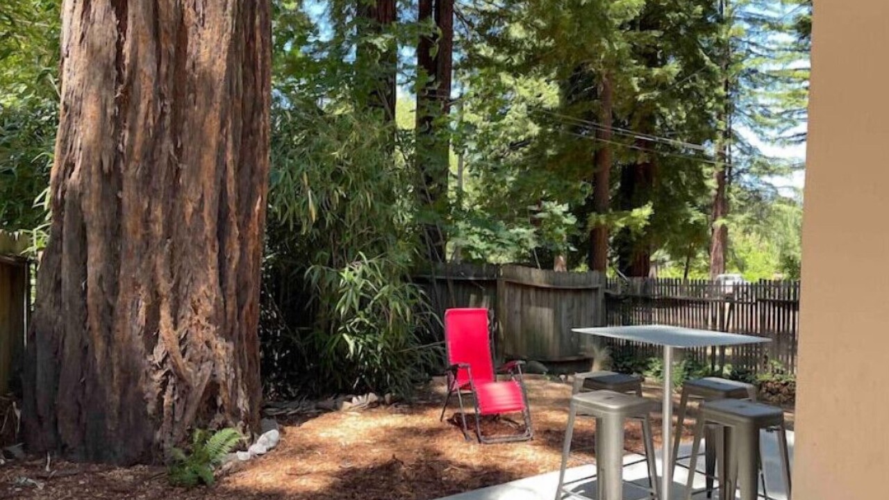 Photo of Outdoor in Myers Flat