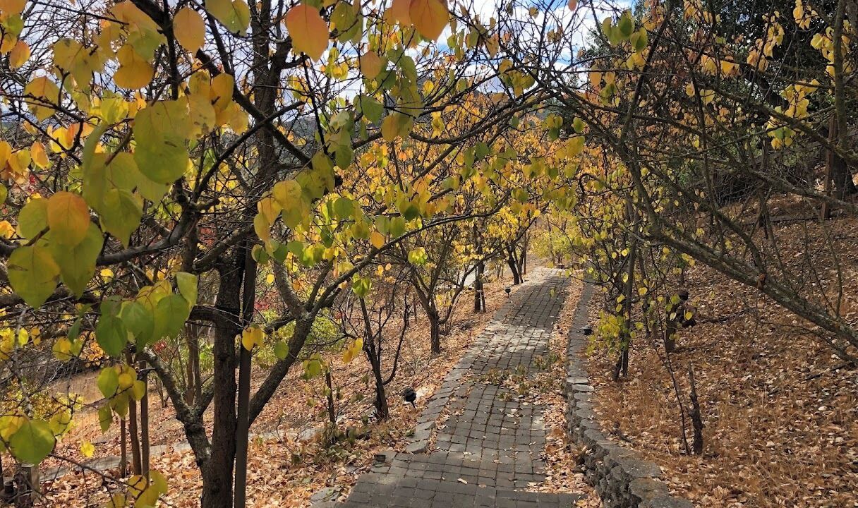 Photo of Outdoor in Morgan Hill