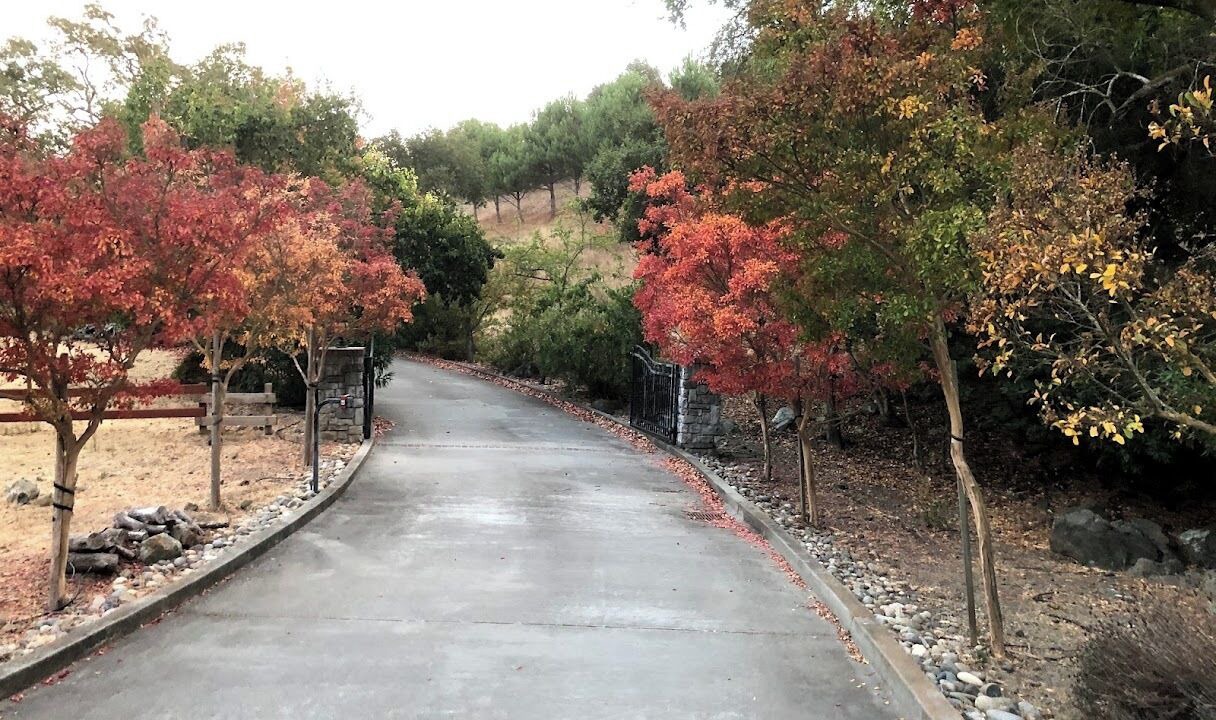 Photo of Outdoor in Morgan Hill