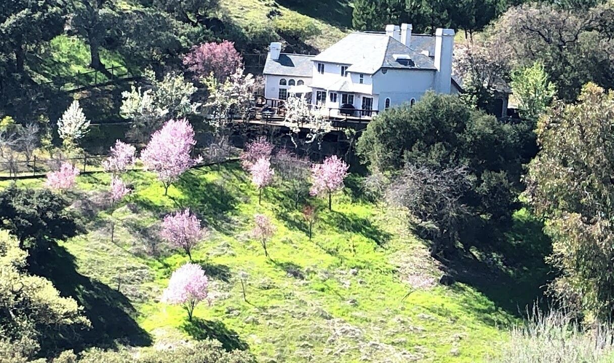 Photo of Outdoor in Morgan Hill