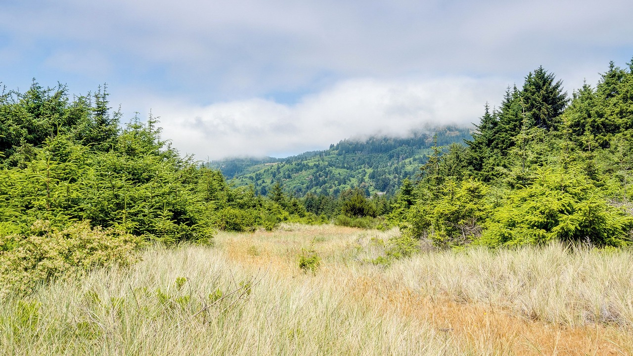 Photo of Outdoor in Smith River