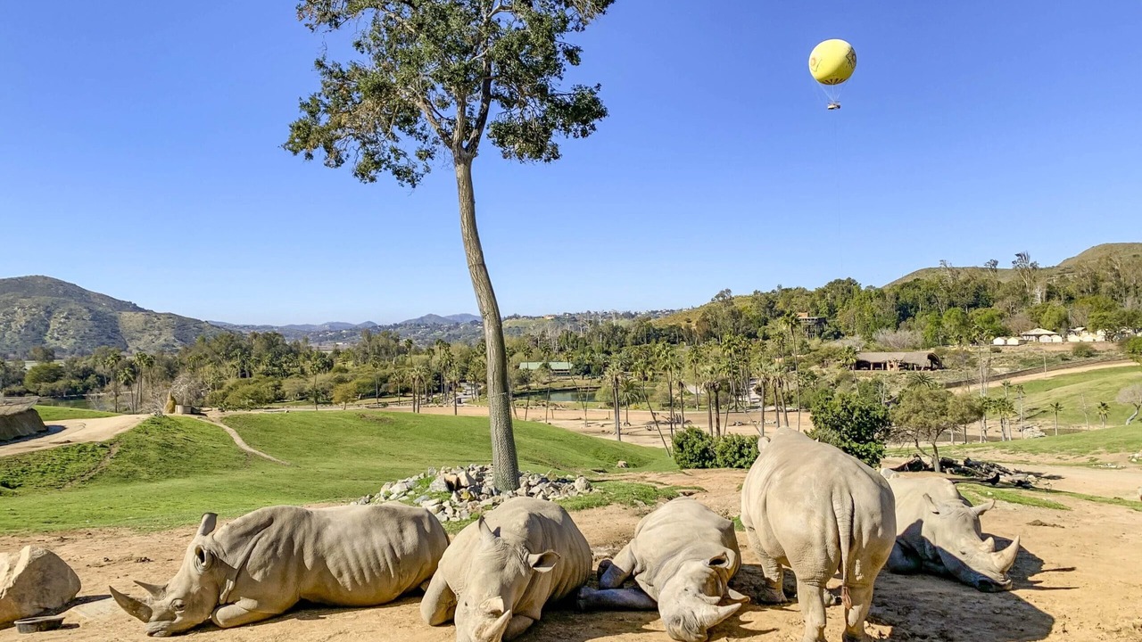 Photo of Others in Carmel Mountain Ranch