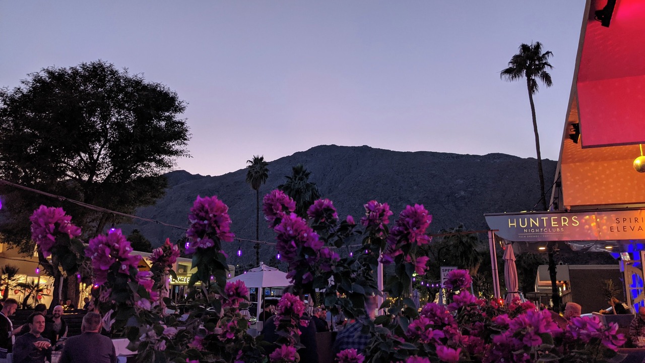 Photo of Others in Downtown Palm Springs